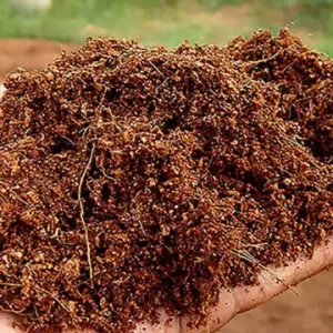 img_new (2) (1) img_new (2) (1)