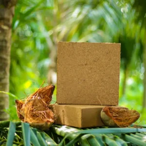 img_new (7) img_new (7)